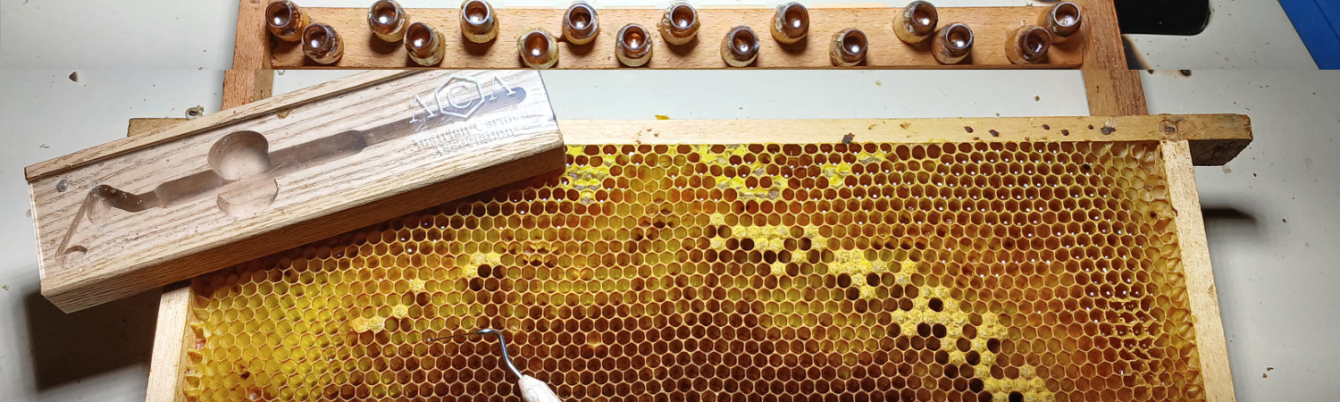 &copy; by Anna Perner